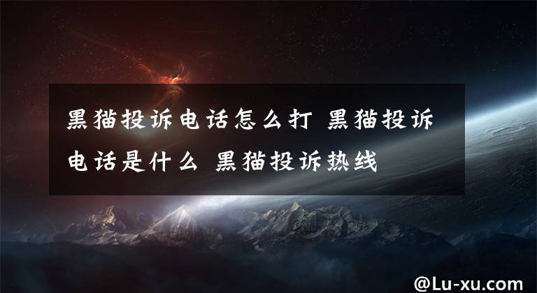黑猫投诉电话怎么打 黑猫投诉电话是什么 黑猫投诉热线