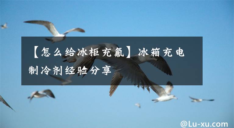 【怎么给冰柜充氟】冰箱充电制冷剂经验分享