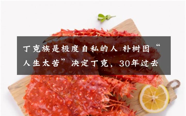 丁克族是极度自私的人 朴树因“人生太苦”决定丁克,30年过去,第一批决定丁克的人后悔了吗?