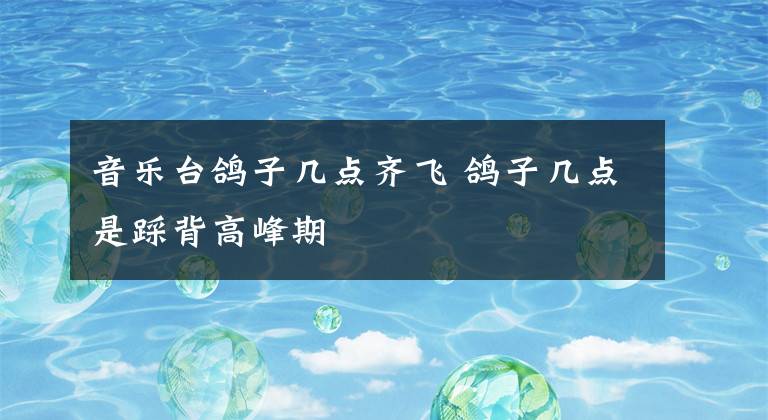 音乐台鸽子几点齐飞 鸽子几点是踩背高峰期