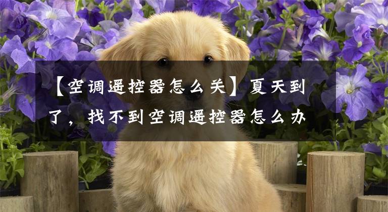 【空调遥控器怎么关】夏天到了,找不到空调遥控器怎么办?可以直接使用手机开关