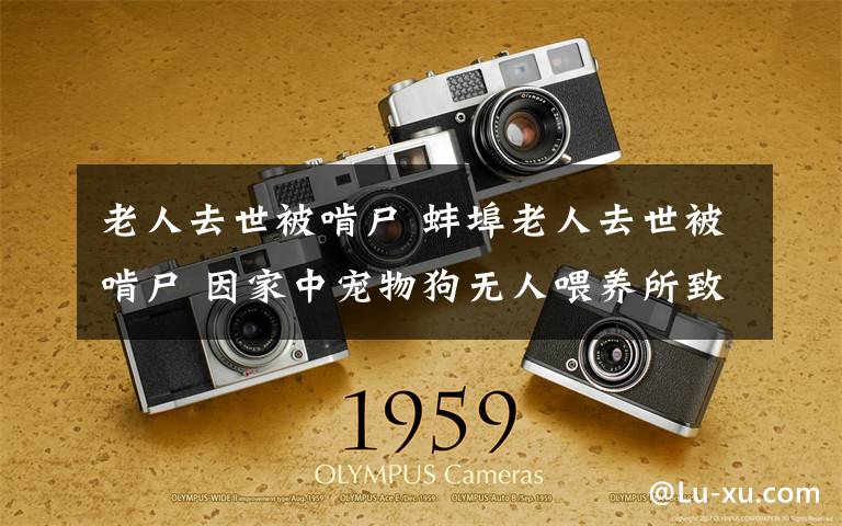 老人去世被啃尸 蚌埠老人去世被啃尸 因家中宠物狗无人喂养所致