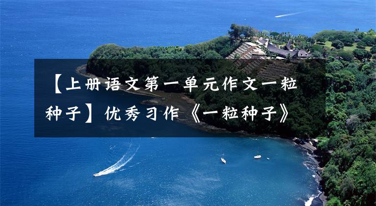 【上册语文第一单元作文一粒种子】优秀习作《一粒种子》