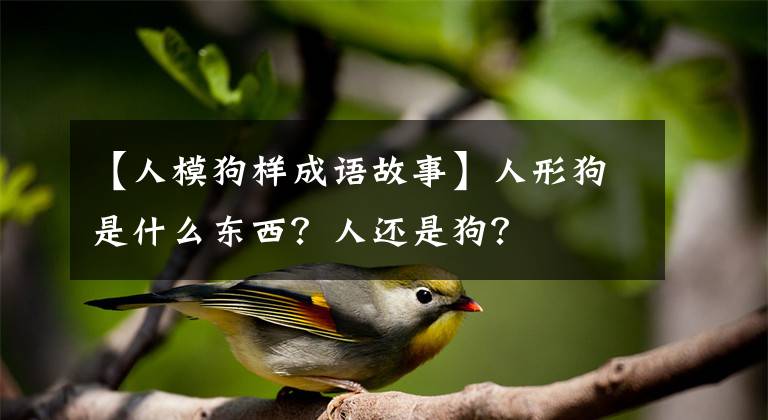 【人模狗样成语故事】人形狗是什么东西？人还是狗？