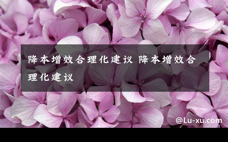 降本增效合理化建议 降本增效合理化建议