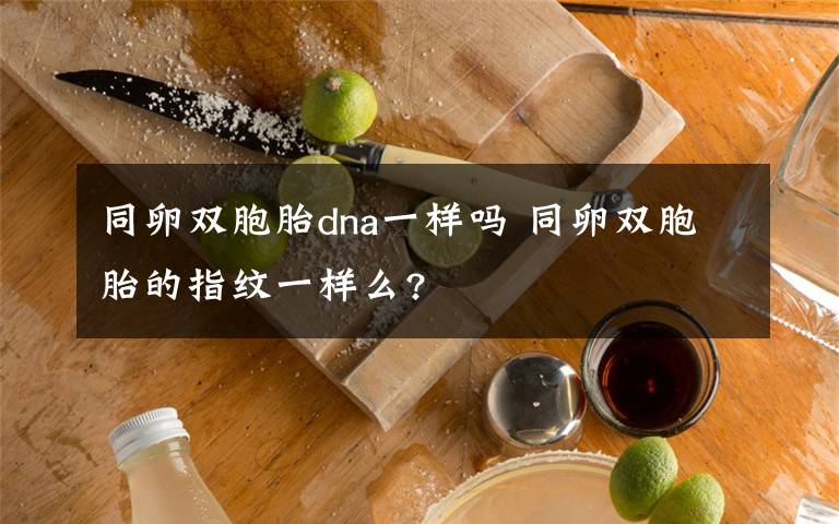同卵双胞胎dna一样吗 同卵双胞胎的指纹一样么?
