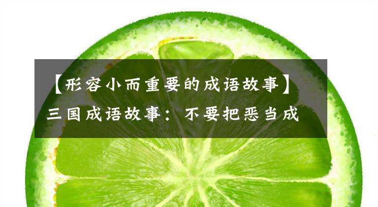 【形容小而重要的成语故事】三国成语故事:不要把恶当成小,不要把善当成小