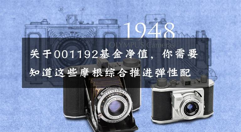 关于001192基金净值,你需要知道这些摩根综合推进弹性配置混合基金最新净值涨幅达到1.91%。