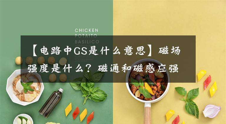 【电路中GS是什么意思】磁场强度是什么？磁通和磁感应强度？符号和单位是什么？