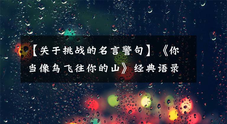 【关于挑战的名言警句】《你当像鸟飞往你的山》经典语录20句,受到鼓舞,找到真正的自我