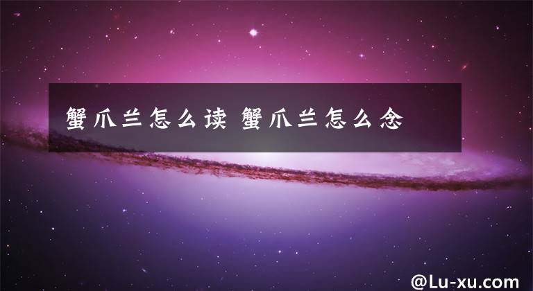 蟹爪兰怎么读 蟹爪兰怎么念