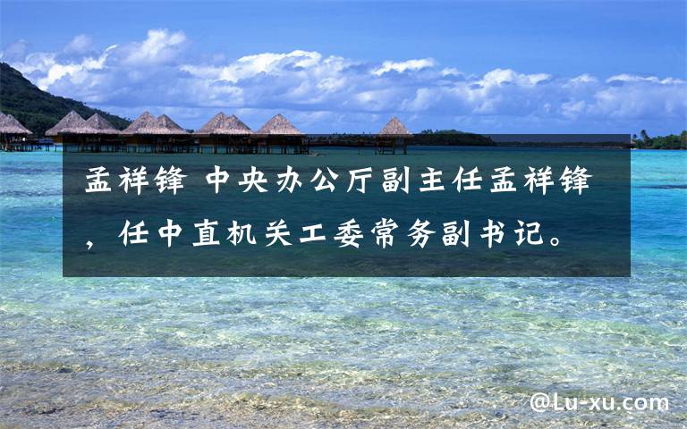 孟祥锋 中央办公厅副主任孟祥锋，任中直机关工委常务副书记。