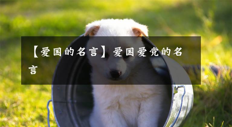 【爱国的名言】爱国爱党的名言