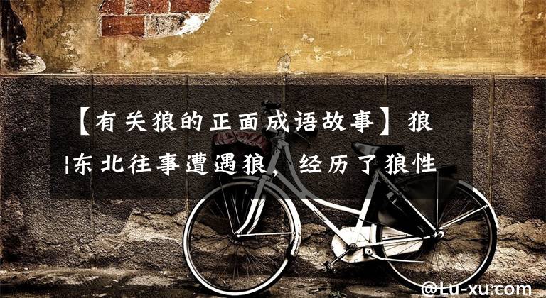 【有关狼的正面成语故事】狼|东北往事遭遇狼，经历了狼性