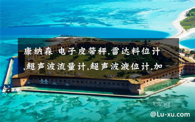 康纳森 电子皮带秤,雷达料位计,超声波流量计,超声波液位计,加药H2S气体监测,浊度仪的工作原理及维护,