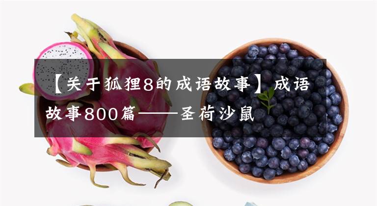 【关于狐狸8的成语故事】成语故事800篇——圣荷沙鼠