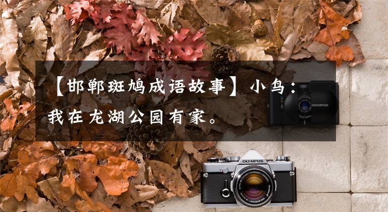 【邯郸斑鸠成语故事】小鸟:我在龙湖公园有家。