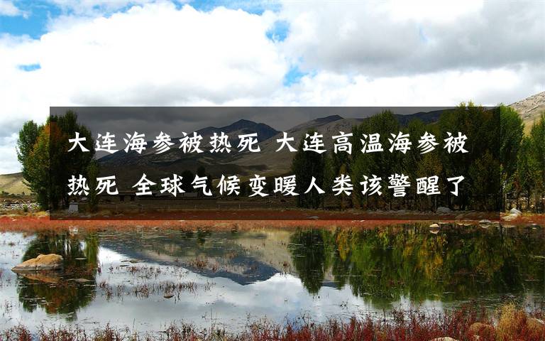 大连海参被热死 大连高温海参被热死 全球气候变暖人类该警醒了