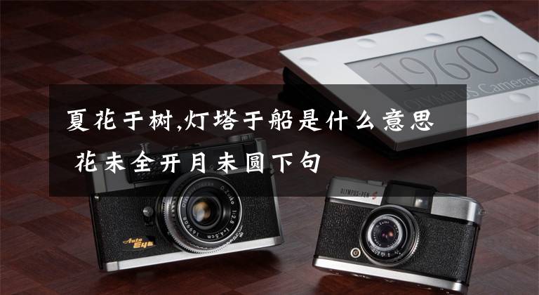 夏花于树,灯塔于船是什么意思 花未全开月未圆下句