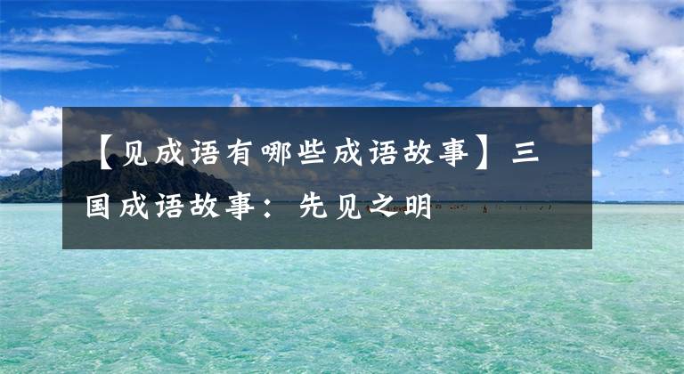 【见成语有哪些成语故事】三国成语故事:先见之明