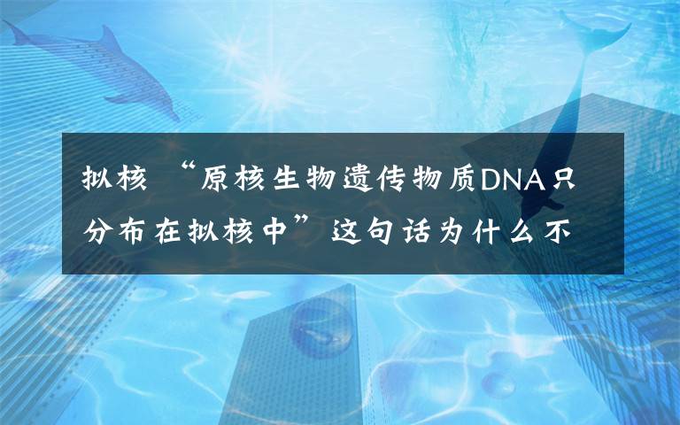 拟核 “原核生物遗传物质DNA只分布在拟核中”这句话为什么不对?