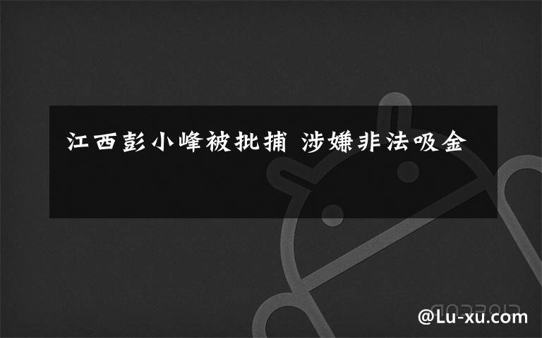 江西彭小峰被批捕 涉嫌非法吸金