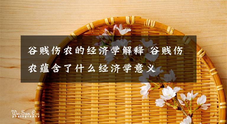 谷贱伤农的经济学解释 谷贱伤农蕴含了什么经济学意义