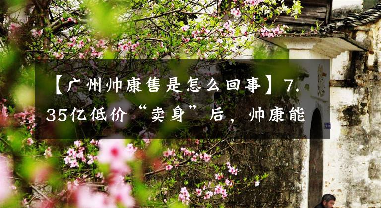 【广州帅康售是怎么回事】7.35亿低价“卖身”后,帅康能否回到光荣时代?