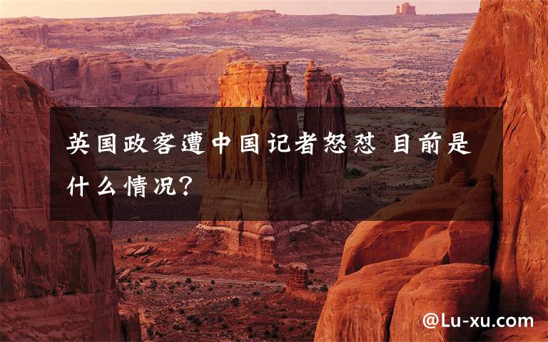 英国政客遭中国记者怒怼 目前是什么情况?