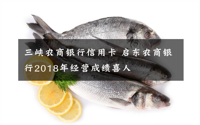 三峡农商银行信用卡 启东农商银行2018年经营成绩喜人