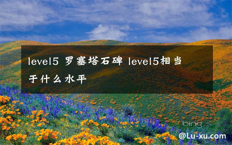 level5 罗塞塔石碑 level5相当于什么水平