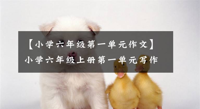 【小学六年级第一单元作文】小学六年级上册第一单元写作《夜晚，一盏路灯的那些事儿》