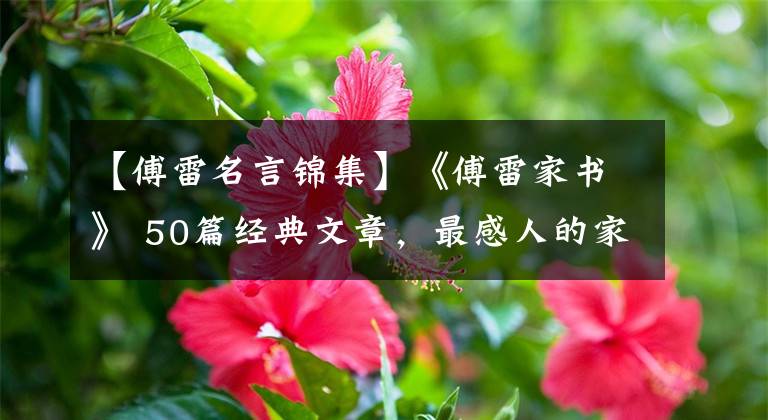 【傅雷名言锦集】《傅雷家书》 50篇经典文章，最感人的家庭教育观不是这样！