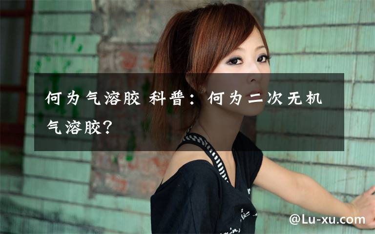 何为气溶胶 科普:何为二次无机气溶胶?