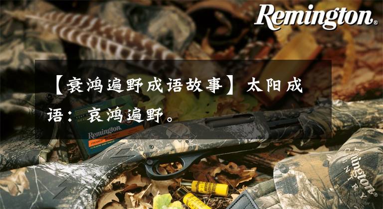 【衰鸿遍野成语故事】太阳成语:哀鸿遍野。