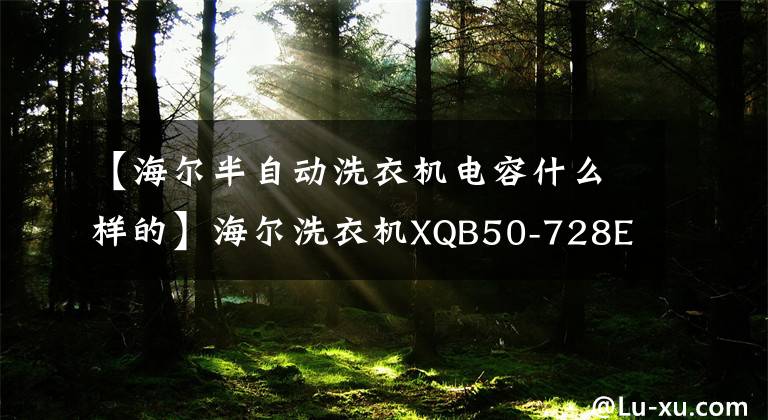 【海尔半自动洗衣机电容什么样的】海尔洗衣机XQB50-728E故障与维护8