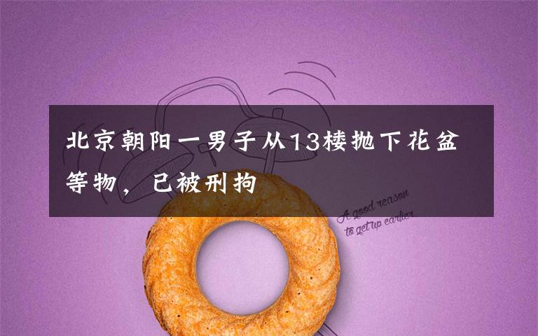 北京朝阳一男子从13楼抛下花盆等物,已被刑拘