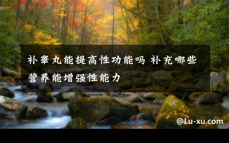 补睾丸能提高性功能吗 补充哪些营养能增强性能力