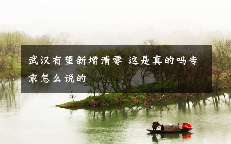 武汉有望新增清零 这是真的吗专家怎么说的