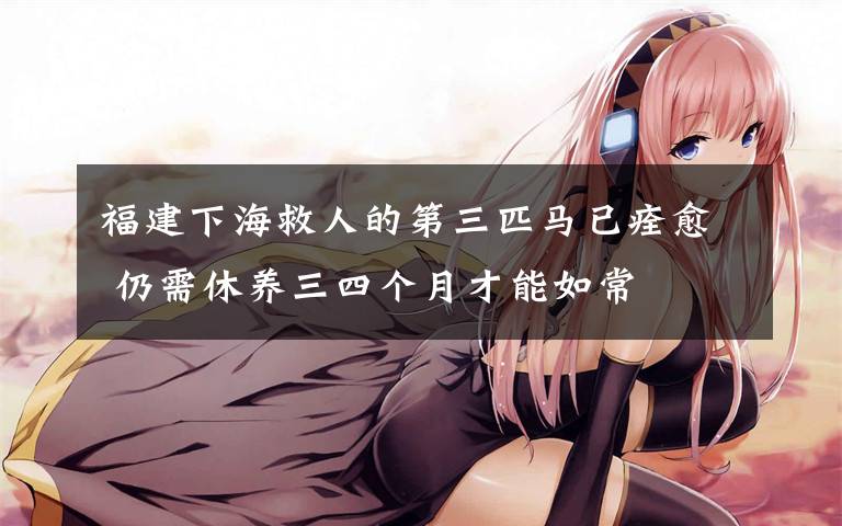 福建下海救人的第三匹马已痊愈 仍需休养三四个月才能如常