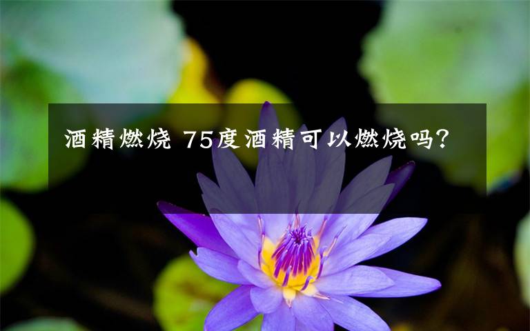 酒精燃烧 75度酒精可以燃烧吗?