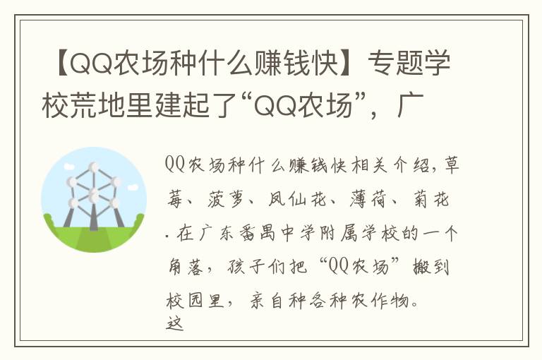 【QQ农场种什么赚钱快】专题学校荒地里建起了“QQ农场”,广州48所学校获评“5A级校园小农田”