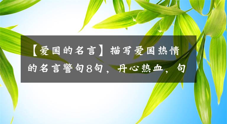 【爱国的名言】描写爱国热情的名言警句8句,丹心热血,句句雄浩