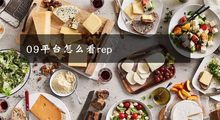 09平台怎么看rep