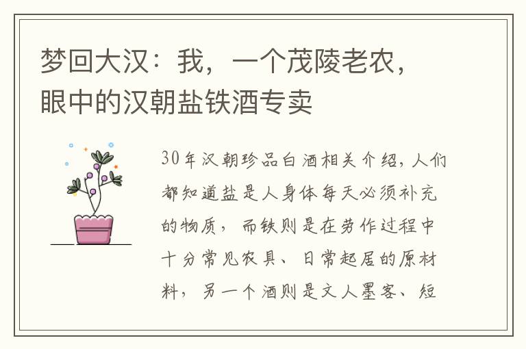 梦回大汉:我,一个茂陵老农,眼中的汉朝盐铁酒专卖