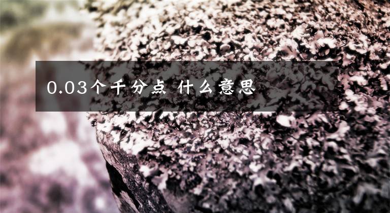 0.03个千分点 什么意思