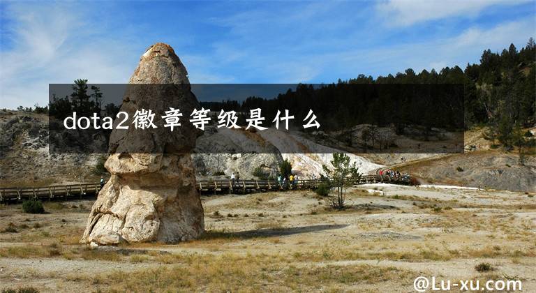 dota2徽章等级是什么