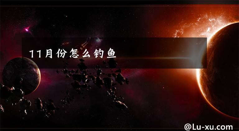 11月份怎么钓鱼