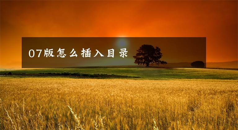 07版怎么插入目录