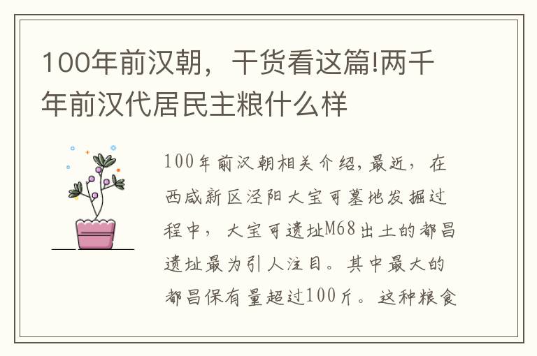100年前汉朝，干货看这篇!两千年前汉代居民主粮什么样